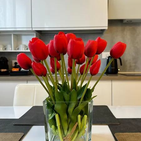 Apartamento Prestige Metropolitana Mm1 Duomo Centro Milano Castello Sforzesco Stadio San Siro Forum Assago